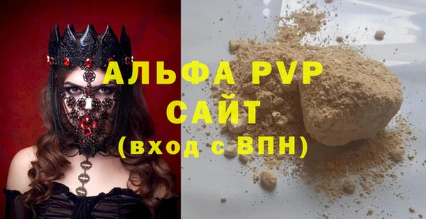 индика Вяземский